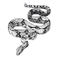 Immagine:fig-boaconstrictor.gif